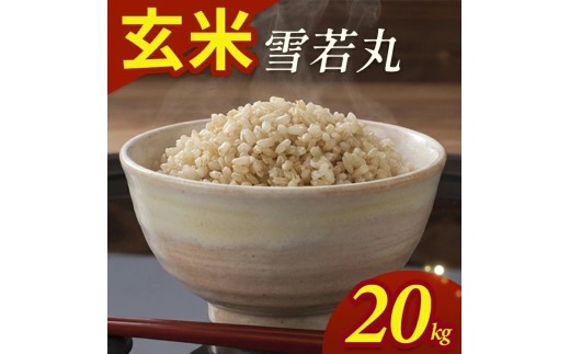 令和7年産【玄米】雪若丸　20kg(5kg×4袋) YA SF0350