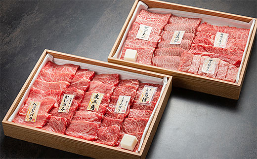 
焼肉名匠山牛一頭盛焼肉セット 約900g FY23-128
