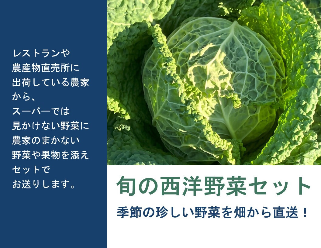 
                  旬の西洋野菜セットA（6種類ほど）YA-02
                