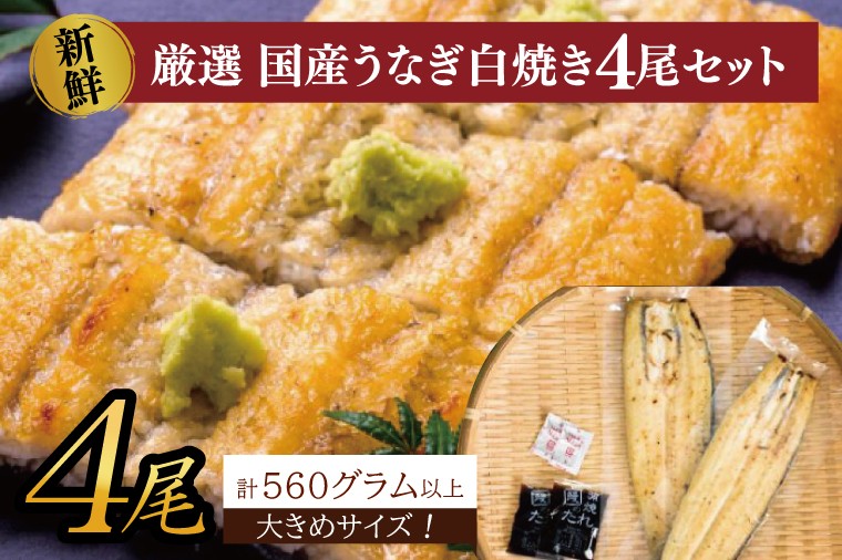 
            大きな国内産うなぎ白焼(酒蒸し)140～160g×4尾　計560g以上｜うなぎ 鰻 ウナギ 国産 国産うなぎ 白焼き 白焼 酒蒸し 土用の丑の日 丑の日 茨城県 行方市(AD-148)
          