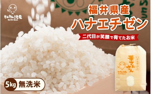 【令和7年産】ハナエチゼン 5kg 華越前 ～坂井市三国町産・こだわりの精米対応～（無洗米） [A-0264_05]