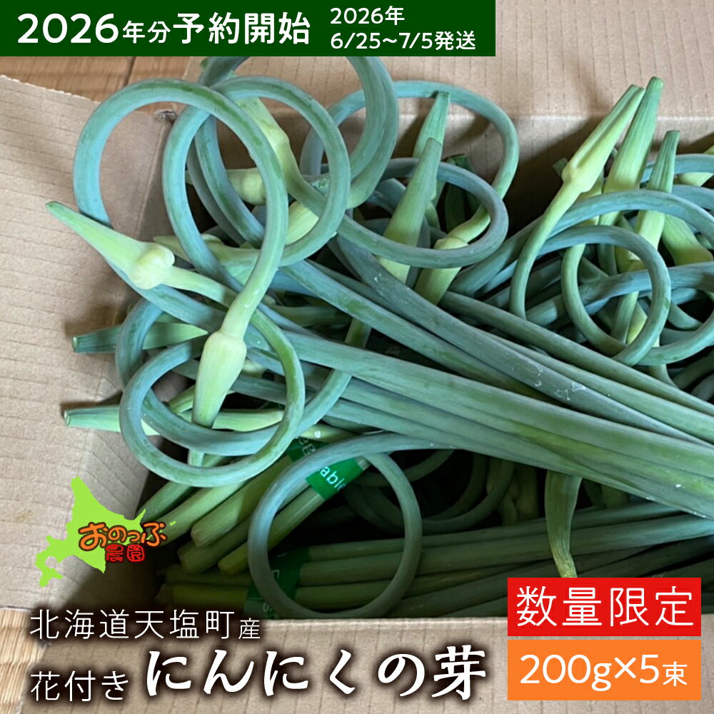 【ふるさと納税】2026年分予約開始★北海道産にんにくの芽 200g×5束《おのっぷ農園》 ふるさと納税 北海道