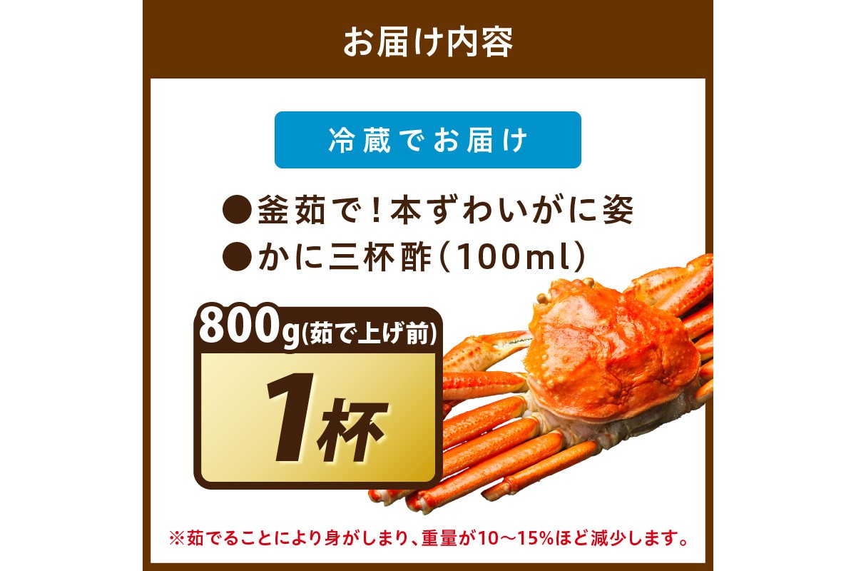 【大好評！カニ酢付き】訳あり！釜茹で！特大本ずわいがに姿 800g×1杯 魚介 海鮮 海の幸 釜茹で ボイル ふるさと納税 カニ 訳あり ふるさと納税 ズワイガニ　YK00683