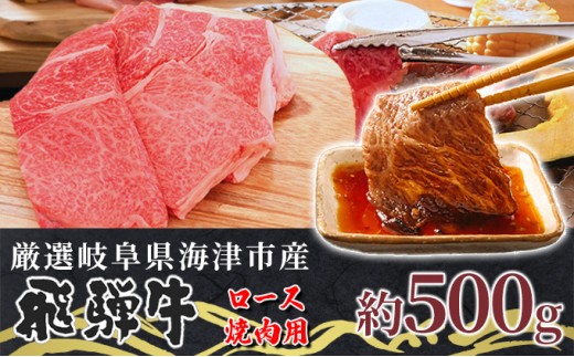 
[№5533-0308]【飛騨牛】海津市産ロース焼肉オリジナルカット 【配達不可：離島】
