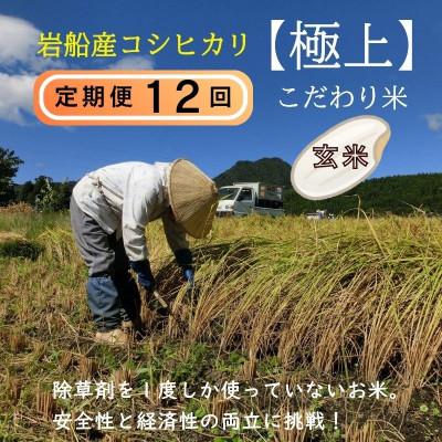 ふるさと納税 関川村 【毎月定期便】[極上]安心こだわり米 岩船産コシヒカリ 玄米6kg(3kg×2袋)[百姓屋]全12回