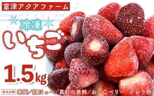 富津アクアファーム　冷凍完熟いちご 1.5kg