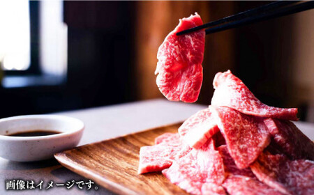 GI認証 あか牛 焼肉用 切り落とし 計約600g【くまふる合志市】[AYBC002]