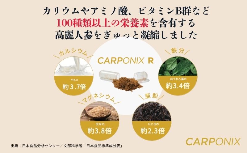 黒高麗人参「CARPONIX」　＜ご自宅用エコパック＞ 60粒入り×2袋　＜個包装＞ 4粒入り×30袋 【定期便 12ヶ月】 サプリメント サプリ 黒高麗人参 カプセル ジンセノサイド 千葉市
