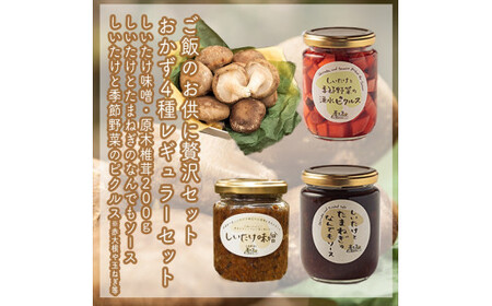 ご飯のお供に贅沢セットA。おかず４種レギュラーセット【家庭用 自宅用 贈答品 贈答用 ギフト お取り寄せ お中元 お歳暮 贈り物 お祝い 神奈川県 小田原市 椎茸 椎茸 椎茸 椎茸 椎茸】