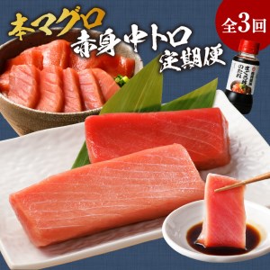 【全3回定期便】鷹島産本まぐろ 中トロと赤身合わせて350g( 本マグロ 本まぐろ 本鮪 鮪 マグロ 鷹島産 海鮮 まぐろ 漬け丼 魚介類 中トロ 赤身 松浦 海鮮丼 丼 本格的 )【E2-005】