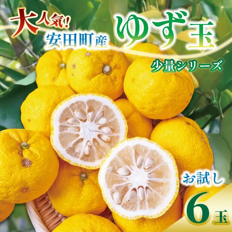 【先行受付】 少量シリーズ ゆず 6個 果汁 果物 風呂 お酒 冬至 高知県 安田町 TR0016