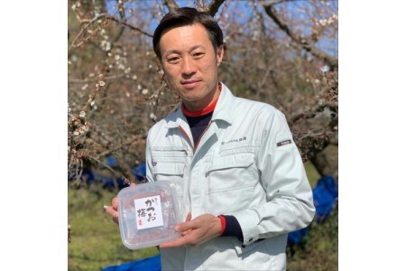 【0529-5】紀州南高梅 はちみつ梅500g、かつお梅500g 食べ比べセット