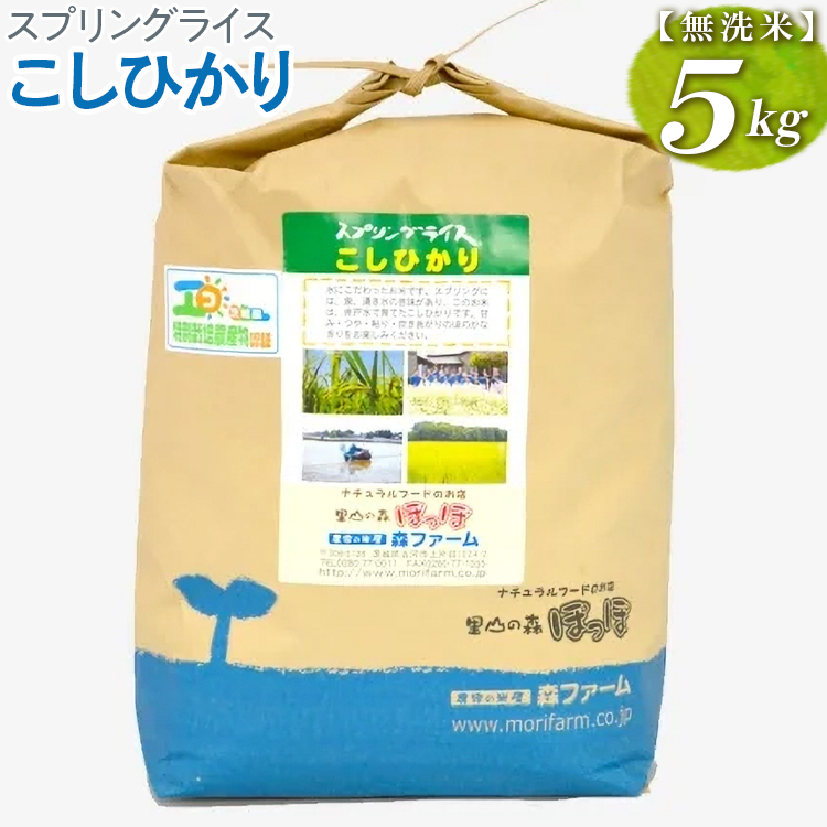 【新米】スプリングライス こしひかり (無洗米)5kg | 米 こめ コメ 5キロ 無洗米 白米 こしひかり コシヒカリ 古河市産 茨城県産  取り寄せ お取り寄せ ギフト 贈答 贈り物 プレゼント お中元 お歳暮 茨城県 古河市 直送 農家直送 産地直送 _BI39