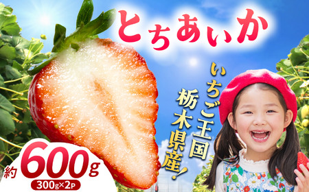 【先行予約】【期間限定】那珂川町産とちあいか 3月発送分 300g×2 |いちご とちあいか ジューシー フルーティー 大きい 新鮮 甘い 美味しい 果物 共通返礼品 フルーツ デザート 栃木県 那珂川町 送料無料