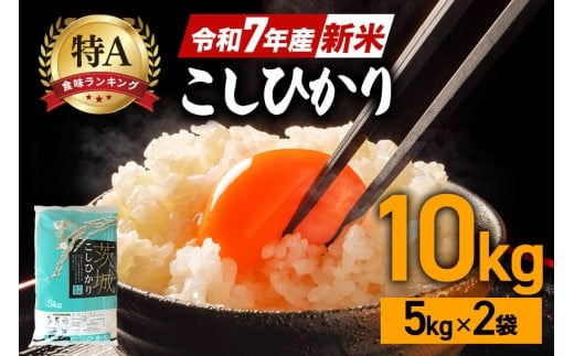令和7年産 新米 コシヒカリ 米 10kg ( 5kg ×2 ） 白米 こめ こしひかり 国産 国産米 取り寄せ ごはん ご飯 コメ お取り寄せ お弁当 弁当 おにぎり 産地直送 特産  ギフト プレゼント 贈り物 茨城県 笠間市 いばらき