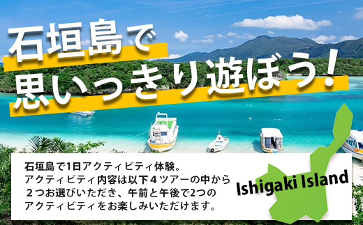 石垣島の自然を満喫！石垣島1日アクティビティ (利用券 1名様分) NS-2