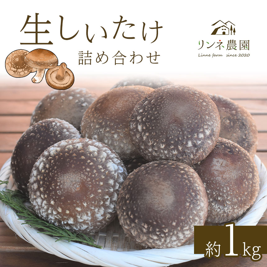 【ふるさと納税】しいたけ 生椎茸 生しいたけ詰め合わせ 約1kg | 栃木県 真岡市 送料無料 しいたけ 椎茸 生しいたけ 詰め合わせ きのこ キノコ
