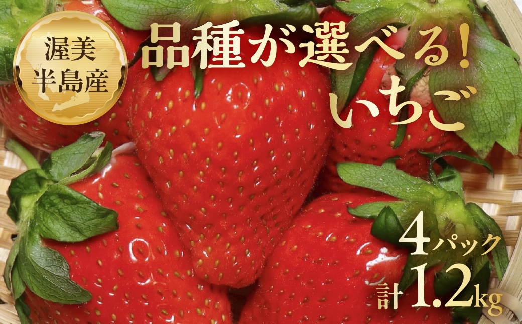 
                  《先行予約》品種が選べる 渥美半島産 いちご 300g × 4パック やよいひめ ベリーポップはるひ いちご 苺 イチゴ フルーツ 果物 くだもの 春 旬 季節 期間限定 季節限定 ストロベリー ベリー
                