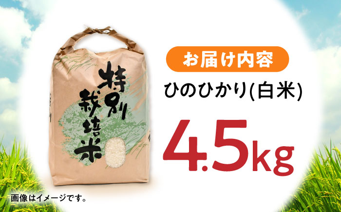【R7年産】九州のこだわり「ひのひかり」白米 4.5kg / 米 こめ コメ お米 おこめ 白米 精米 白ご飯 ひのひかり ヒノヒカリ 長崎県産 / 諫早市 / 上島農産 [AHAS014]