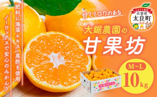 大鋸農園の甘果坊 １０ｋｇみかん蜜柑太良みかん温州みかん果物フルーツ甘い柑橘ノーワックス果実くだもの柑橘類佐賀県太良町 N44x1 【2026年10月下旬～12月下旬配送予定】
