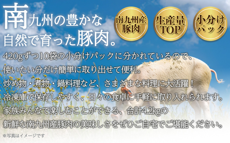 ＜豚肉切り落とし 2.1kg+マキシマムスパイス1本付き＞国産 九州産 精肉 小分け 小間切れ 豚こま【MI718-nk】【中村食肉】 2.1kg