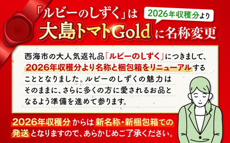 2026年3月発送開始 2回定期便 訳あり ルビーのしずく 約1.2kgCCK031 トマト トマト トマト トマト トマト トマト トマト
