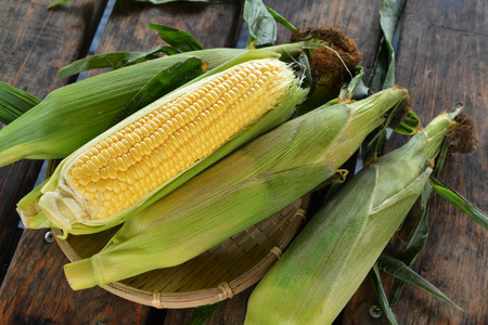 ＜2026年8月下旬よりお届け＞【朝採り】北海道壮瞥町産　とうもろこし恵味（めぐみ）Lサイズ以上約10kg（22〜25本） SBTL013