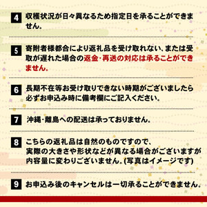 訳あり ＼ さんま ／ 2kg 冷蔵