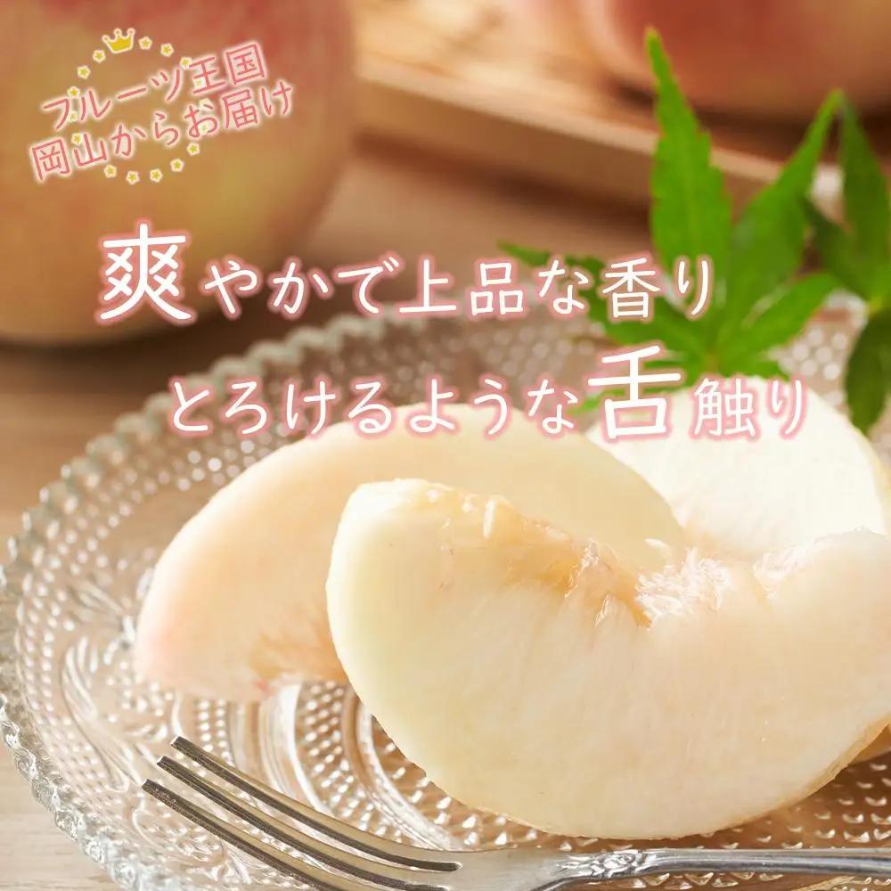 2026年 先行予約 岡山県産   白 桃  エース 約2kg（5～10玉）｜ 桃