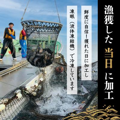 ふるさと納税 斜里町 <数量限定>知床斜里産の珍魚「オオカミウオ」!話題作りにいかがですか?【凍眠にて冷凍しています】 |  | 02