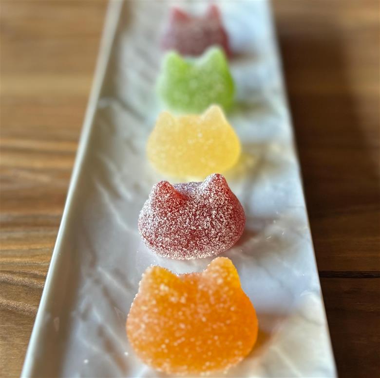 しょこら亭 シャ・ド・フリュイ（chat・do・fruits） 5個入り×3セット 1Z46018