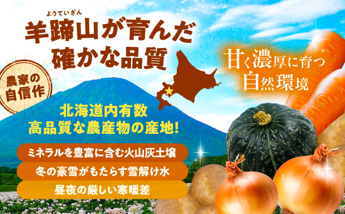 【2026年11月下旬以降発送】 秋の味覚セット（小）（じゃがいも5kg・旬の農産物詰め合わせ） | 野菜セット 野菜 詰合せ じゃがいも 季節の野菜 | 道の駅 真狩フラワーセンター [BPAM00