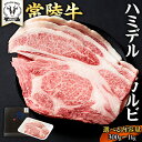 【ふるさと納税】＼ 選べる容量！ ／ 【 常陸牛 】A5 等級 ハミデルカルビ 300g 500g 1kg ひたちぎゅう ブランド牛 カルビ 国産牛 黒毛和牛 和牛 国産黒毛和牛 お肉 A5ランク 高級 BBQ パーティ