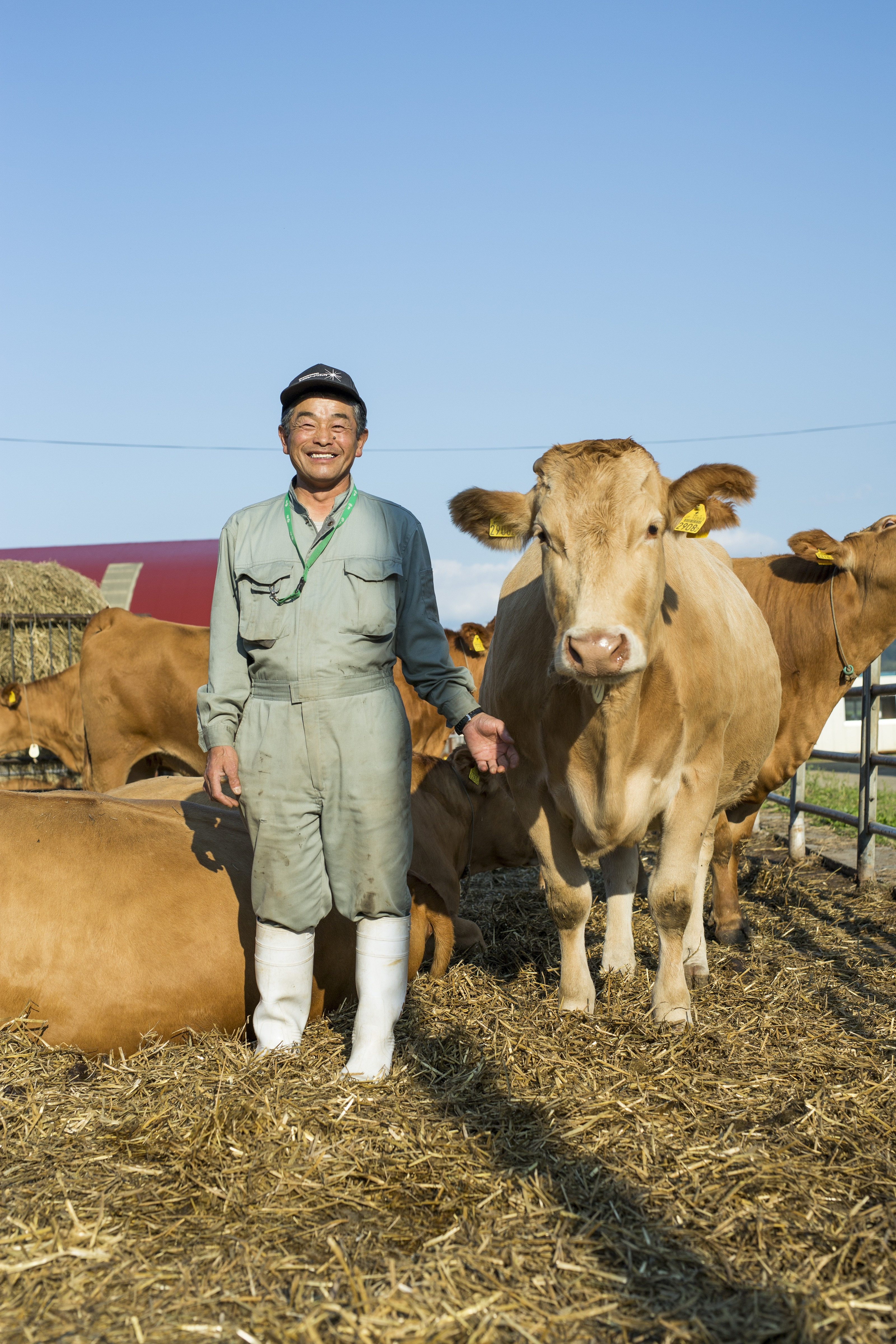 北海道の大自然でストレスフリーで育った牛！