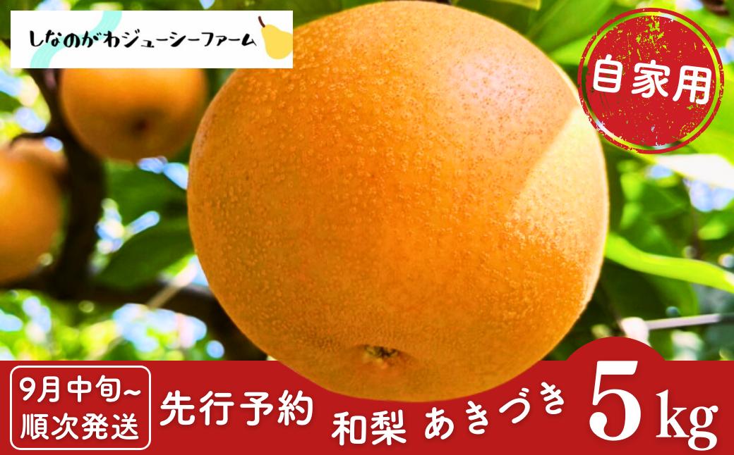 
            先行予約 和梨 あきづき 自家用 約5kg [9月中旬から発送予定] 新潟県 三条市産 梨 [しなのがわジューシーファーム]【010S488】
          