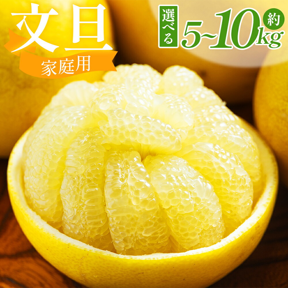 【ふるさと納税】【選べる内容量】文旦 家庭用 混合（L〜2Lサイズ）（内容量：約5kg〜10kg） - 選べる 内容量 国産 土佐文旦 高知 訳あり キズ 不揃い 小玉 大玉 ぶんたん ブンタン わけあり 5キロ 果物 柑橘 フルーツ 特産品 香南市 高知県 【常温】