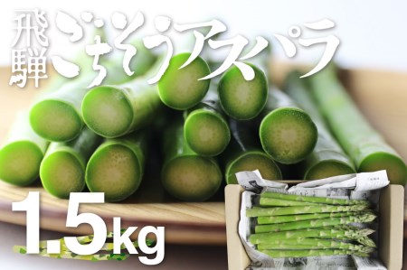2026年産 柔らか甘いアスパラガス　L~2L 1.5kg グリーンアスパラ アスパラ [B0201x] syun79