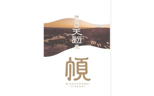 新米 こしひかり 精米 5kg 神子原 てっぺん米 数量限定 令和7年産 こだわり もっちり 甘み 食味ランクS 最高評価 お米 米 白米 おこめ こめ kome ご飯 ごはん R7 2025年産 おいしい 美味しい 神子原てっぺん米 神子原頂上米 石川県 石川 能登 羽咋 支援 応援 復興応援 復興支援