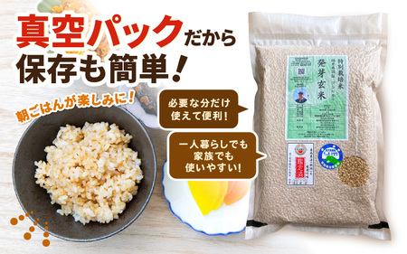 【期間限定】【3ヶ月連続お届け】【令和7年産】発芽玄米 特別栽培米 コシヒカリ 2kg×3回 計6kg 【米 玄米 こしひかり ギャバ GABA 特別栽培 食物繊維 栄養 真空パック ごはん ご飯 お