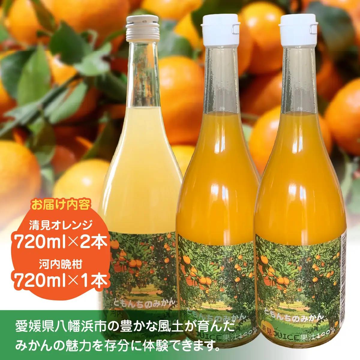 飲み比べセット清見オレンジ100%ジュース720ml×2河内晩柑100%ジュース720ml×1【91-5】 YWTB005