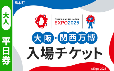 No.163 2025年日本国際博覧会入場チケット 平日券（大人）【島本町返礼品】