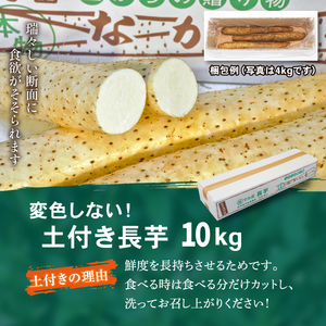 変色しない！ 土付き 長芋 10kg 【ながいも一筋 マル庄】 ／ とろろ 山かけ