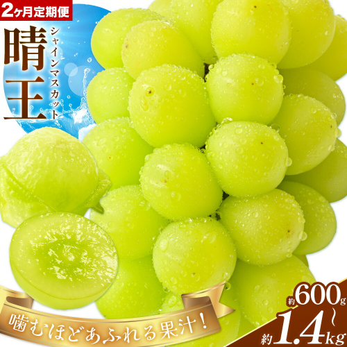 【2026年発送先行予約】【2ヶ月定期便】ぶどう シャインマスカット 晴王 選べる 約600g～2kg 満天フルーツ《2026年9月上旬-10月末頃出荷》岡山県 浅口市 マスカット フルーツ 果物 お取り寄せフルーツ 贈り物 ギフト 岡山県産【配送不可地域あり】
