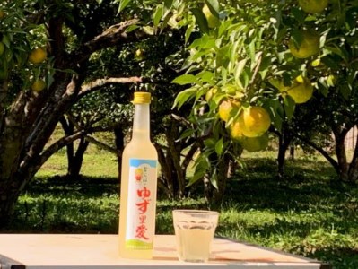 ゆず酒 ならはのゆず里愛  柚子 果実酒 500ml 2本セット【ゆず 果実酒 酒】