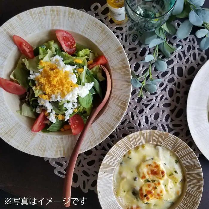 【波佐見焼】Shabby chic style 25cm プレート 2枚セット（senダーク） 食器 皿 【和山】 [WB102]  波佐見焼