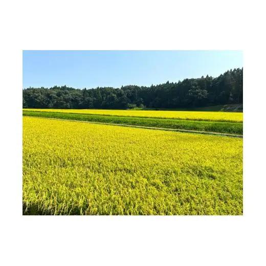 こしひかり 10kg 鈴鹿山麓の銘水が育てた米、米どころ三重県産小山田地区「こしひかり（精米）」10kg 小山田米