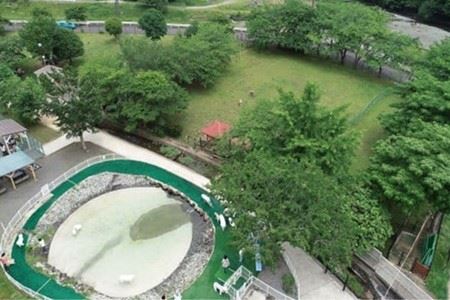 『松田ブランド』愛犬が喜ぶ やどりき森のおにく　無添加（200ｇ×4袋）