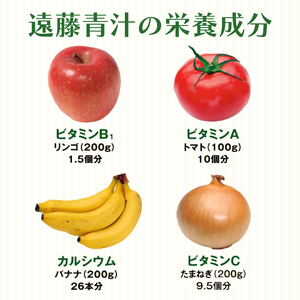 【3回定期便】 遠藤青汁 2.8kg 【生】 冷凍 | 100g × 28袋 生青汁 国産青汁 ケール100％青汁 青汁セット