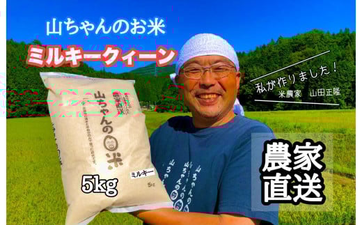 487.令和6年度産 農家直送「山ちゃんのお米」ミルキークイーン5kg 残留農薬202項目検査済み 残留放射能測定済み 