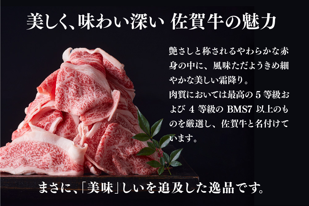 艶さし!【A4～A5】佐賀牛大判霜降り贅沢切り落とし 500g(250g×2P)【佐賀牛 切り落とし 霜降り 肩ロース 大判 一枚肉 薄切り 250g 小分け】(H112340)